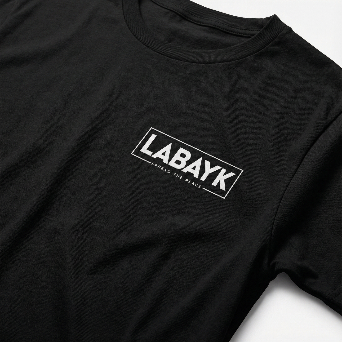 Labayk x 313 T-Shirt